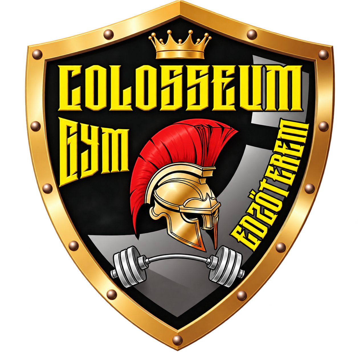 home.partners.logoAlt.colosseumGym